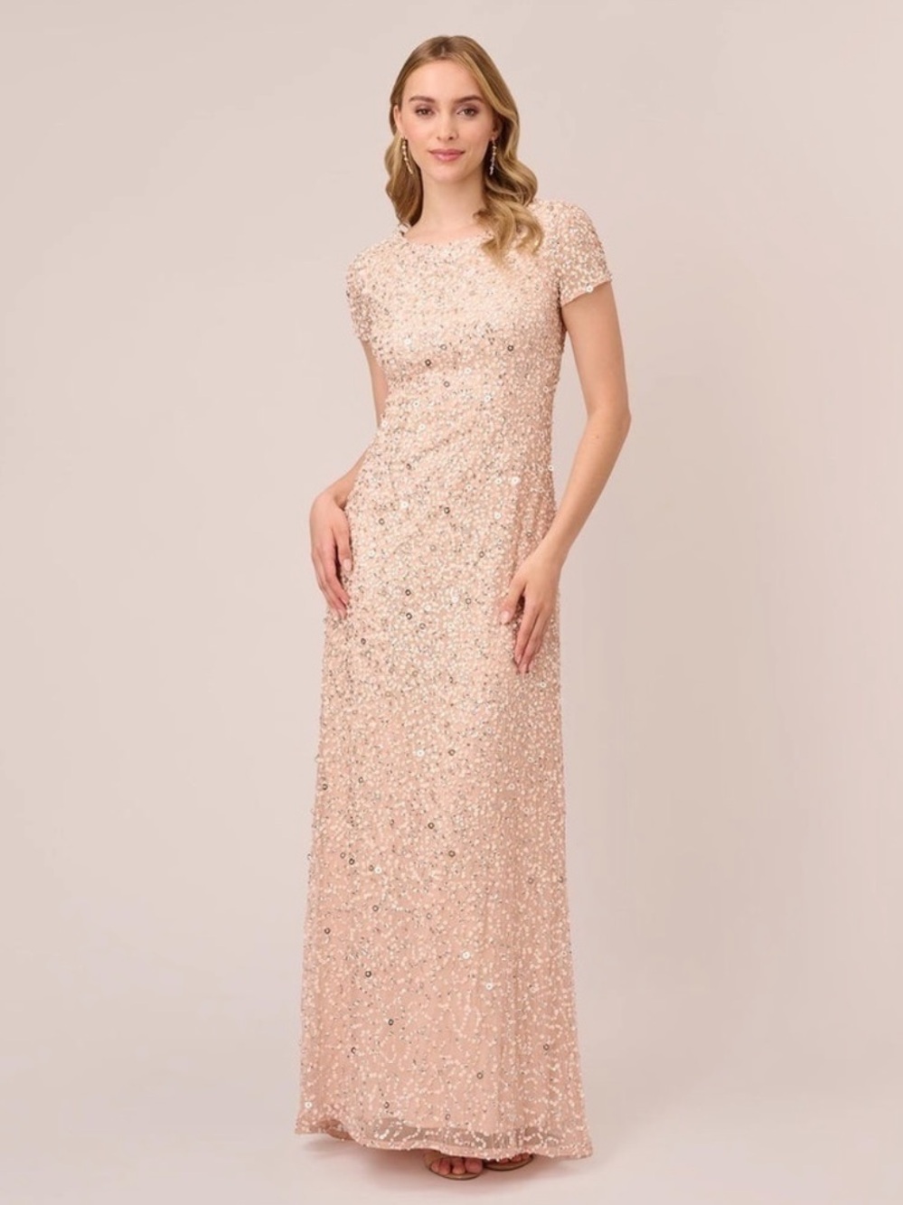 ADRIANNA PAPELL Beautiful Formal Blush Sequin Maxi Dress w/Short Train 14 NWT